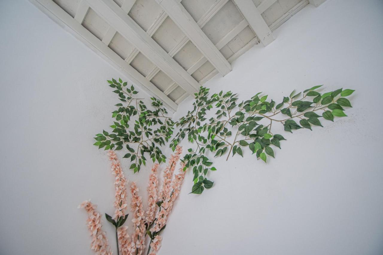 Apartamento El Cobijo De กาดิซ ภายนอก รูปภาพ